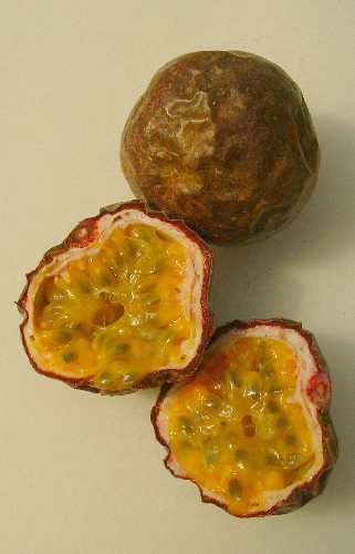 PASSIONFRUIT PURPLE - Passiflora edulis
