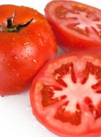 Tomato 'KY1' - Lycopersicon esculentum