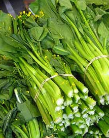 CHOI SUM (Choi-San) - Brassica rapa