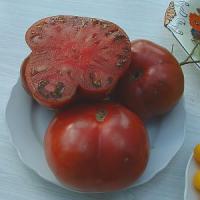 TOMATO 'BLACK KRIM' - Lycopersicon esculentum