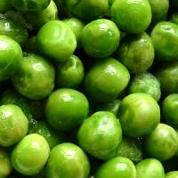 PEA Greenfeast - Pisum sativum