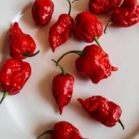 Chilli Carolina Reaper