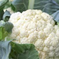 Cauli Snowball early