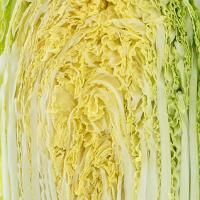 Chinese Cabbage Wong Bok