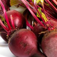 BEETROOT ‘Detroit Dark Red’ - Beta vulgaris