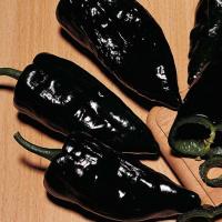 CHILLI ‘Poblano Ancho’ - Capsicum annum