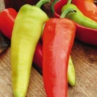 CHILLI ‘Hungarian Hot Wax’ - Capsicum annum