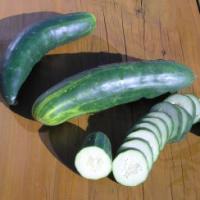 CUCUMBER 'Marketmore 76' - Cucumis sativas