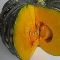 Pumpkin 'Jap' - Cucurbita maxima