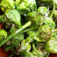 Chilli ‘Pimientos de Padron’  - Capsicum annum