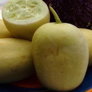 Cucumber ‘Crystal Apple’ - Cucumis sativas