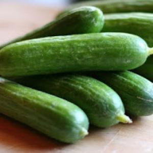 Cucumber 'Mid East Peace' - Cucumis sativas