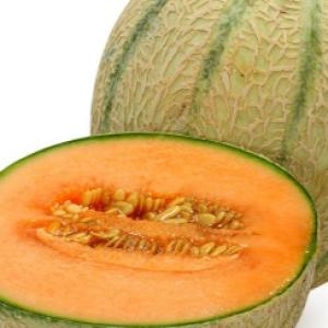 Melon ‘Hales Best’ - Cucumis melo