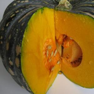 Pumpkin 'Jap' - Cucurbita maxima
